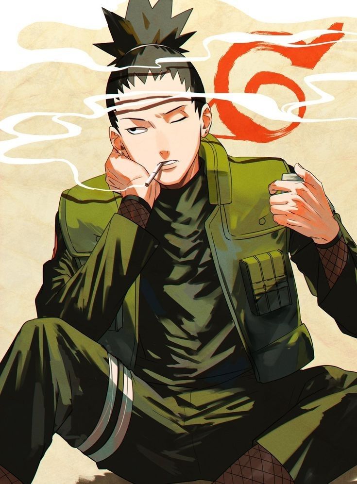 8th Hokage shikamaru Nara